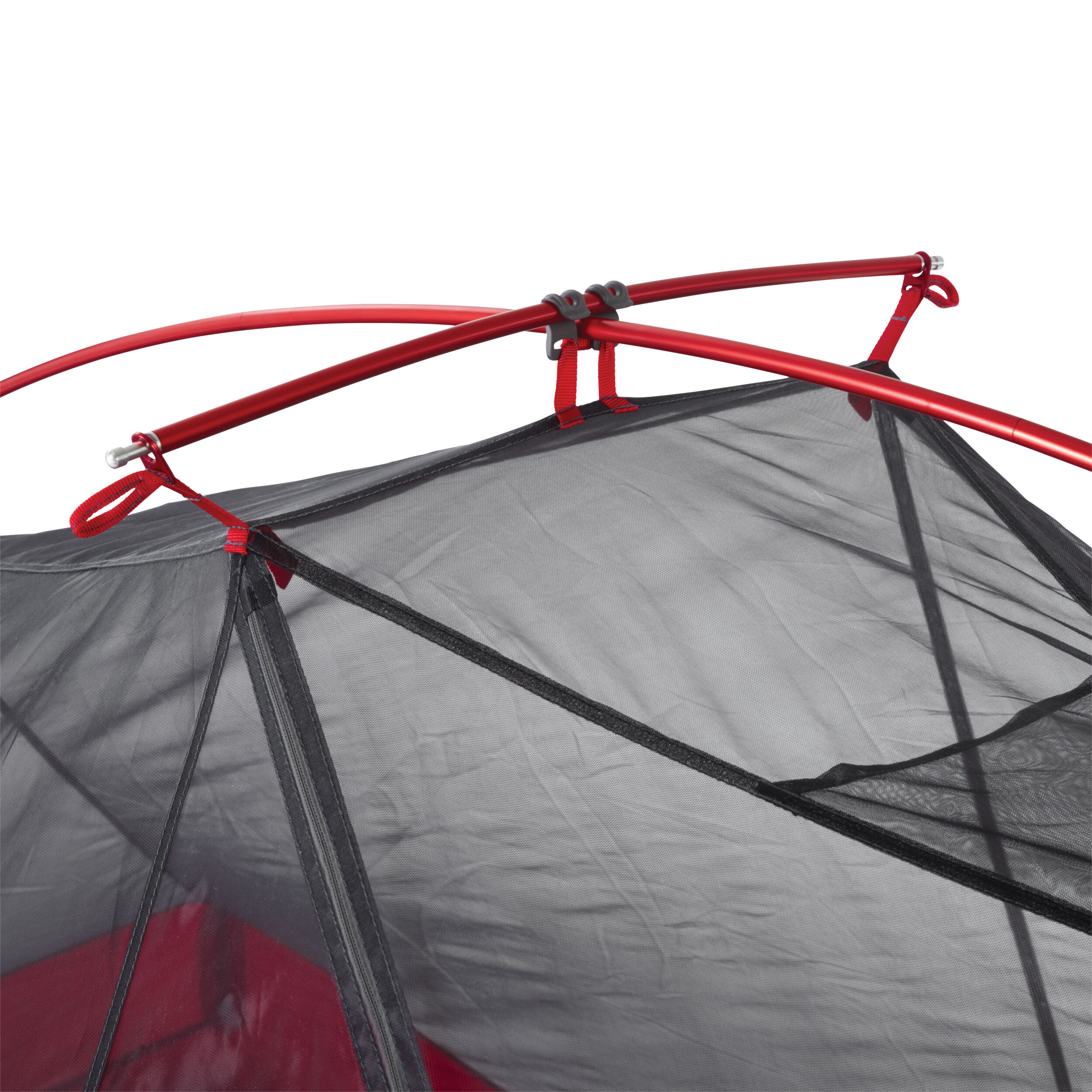 FreeLite™ 3 ǀ Ultralight 3-Person Backpacking Tent ǀ MSR®